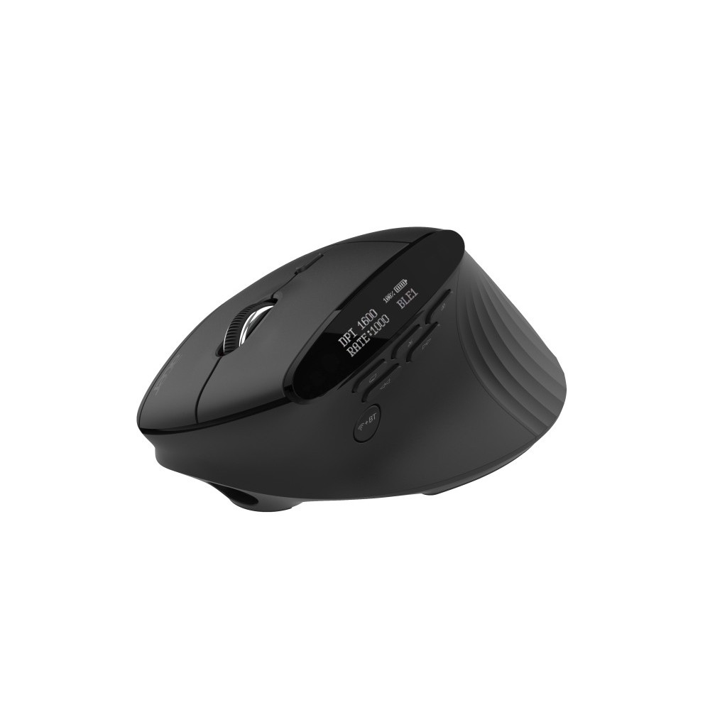 Acer Smart Fit – Безжична мишка, 8000 dpi, 10 бутона, RF 2.4GHz + BT 5.0, RGB - Черен