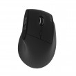 Acer Smart Fit – Безжична мишка, 8000 dpi, 10 бутона, RF 2.4GHz + BT 5.0, RGB - Черен