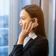 Samsung Galaxy S24 Ultra 5G DUX DUCIS Кожен Калъф и Протектор