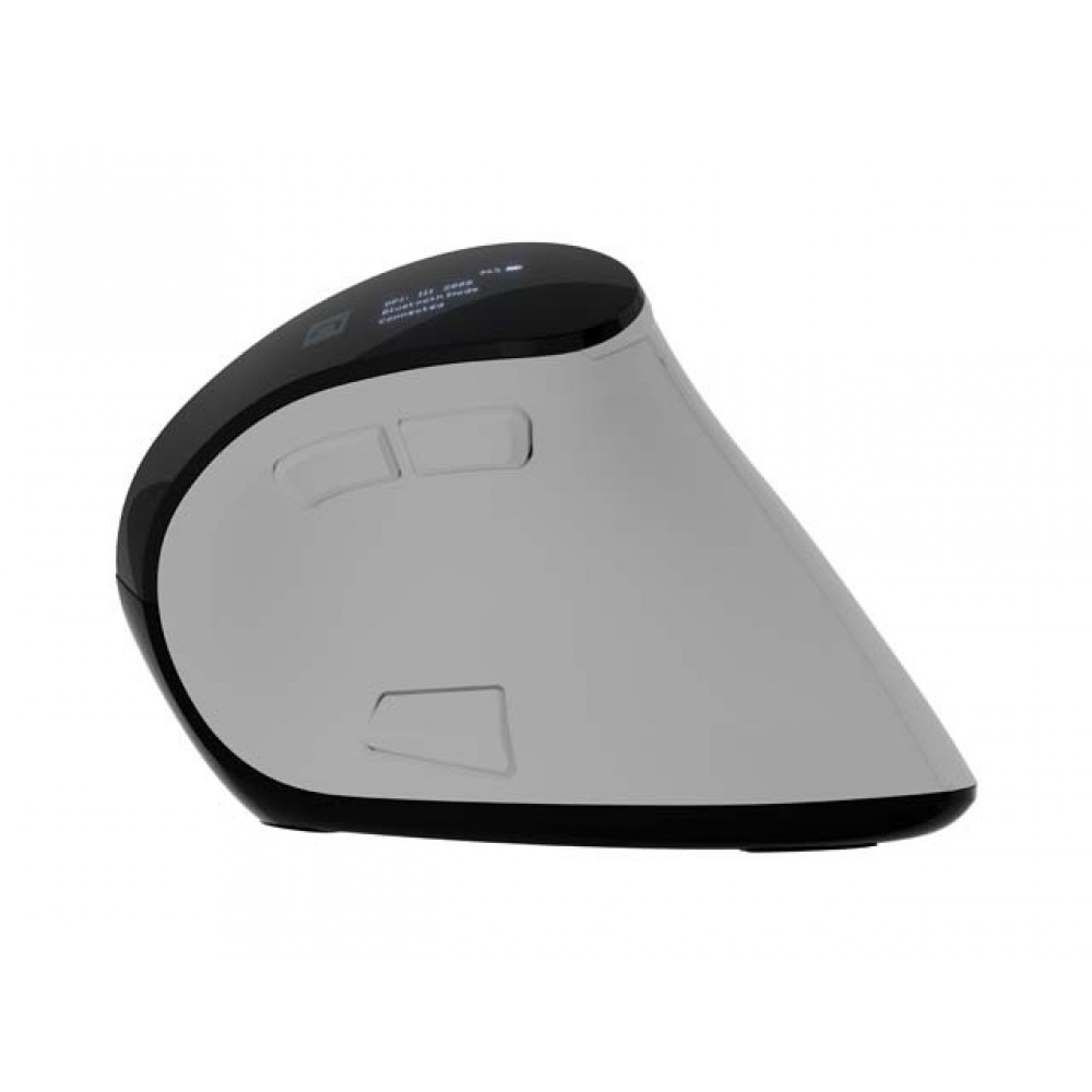 Natec Euphonie Vertical Pro – Ергономична мишка, 4000 DPI, Silent, BT 5.0, OLED, 9 бутона - Бяла