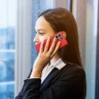 Samsung Galaxy S25 Ultra DUX DUCIS Wallet/ PU + TPU Кожен Калъф и Протектор